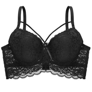 Sexy Lace Bras - Plus Size Bra - Pleasure Bar