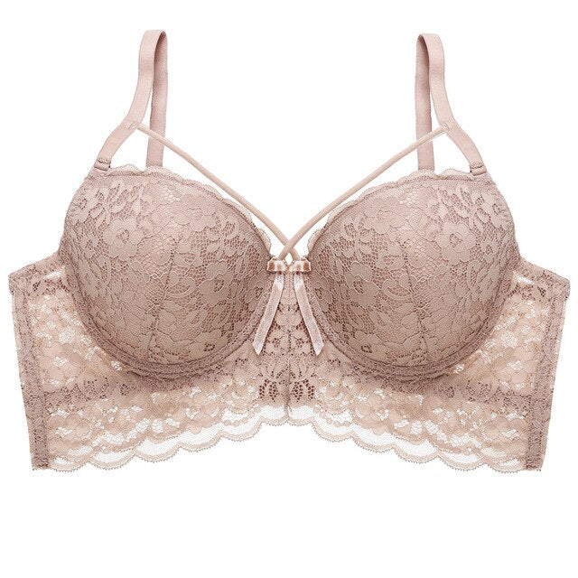 Sexy Lace Bras - Plus Size Bra - Pleasure Bar