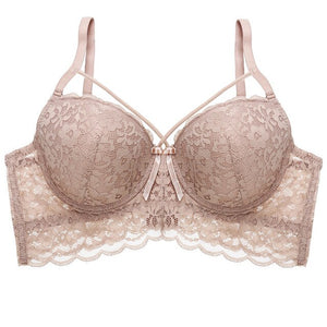 Sexy Lace Bras - Plus Size Bra - Pleasure Bar