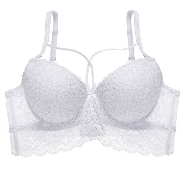 Sexy Lace Bras - Plus Size Bra - Pleasure Bar