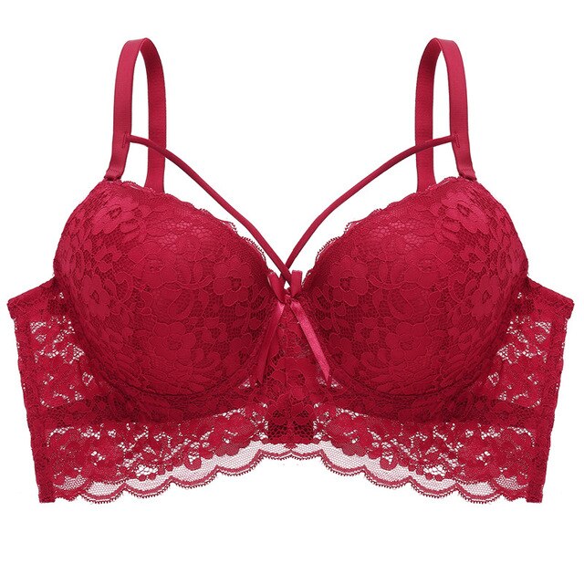 Sexy Lace Bras - Plus Size Bra - Pleasure Bar