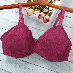 Sexy Lace Bras - Plus Size Bra - Pleasure Bar