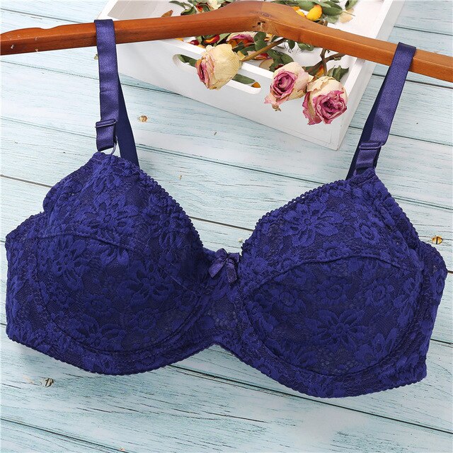 Sexy Lace Bras - Plus Size Bra - Pleasure Bar